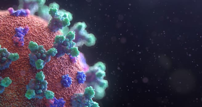 bacteria of coronavirus