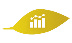 Enhanced Transaction Insights