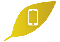 Online and Mobile Access